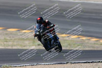 media/Apr-14-2024-SoCal Trackdays (Sun) [[70f97d3d4f]]/5-Bowl Exit (1020am)/